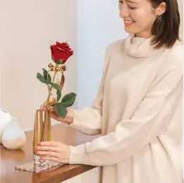 赤バラとスクエアプレートを一緒に部屋に飾る様子