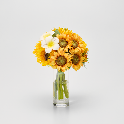 ベーシックモデル