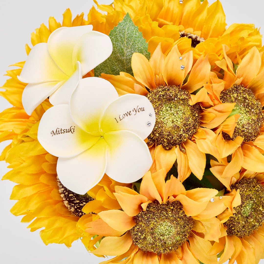 プレミアムモデル(有料)