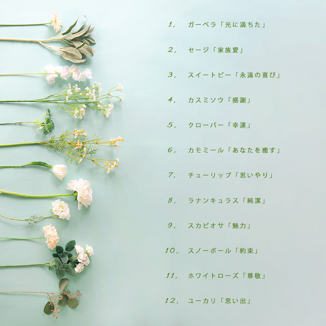 12種類の花と花言葉を並べて紹介する説明画像。1本ずつに「感謝」「幸福」「愛情」などのメッセージが込められ、プロポーズや記念日に気持ちを花言葉で伝えることができる、特別なフラワーギフト。