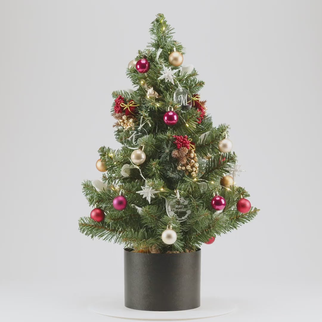 ご予約分クリスマスオーナメント2点