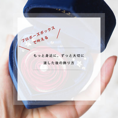 《指輪なしで箱パカできる》プロポーズボックス　ネイビー(赤バラ)