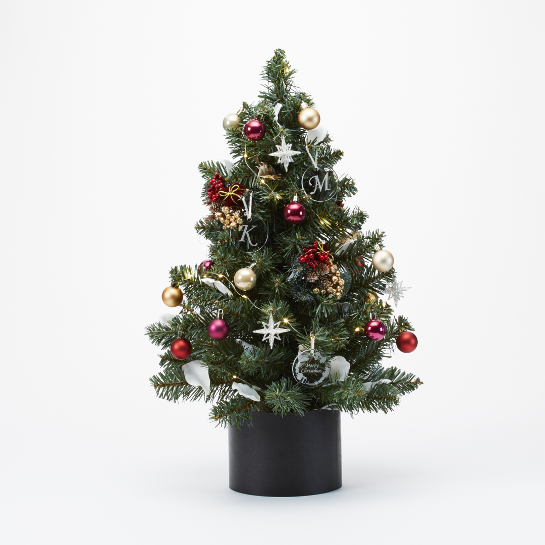 冬の誕生日・プロポーズは二人のクリスマスツリー MERIA ROOM PROPOSE 冬の誕生日・プロポーズは二人のクリスマスツリー MERIA ROOM PROPOSE