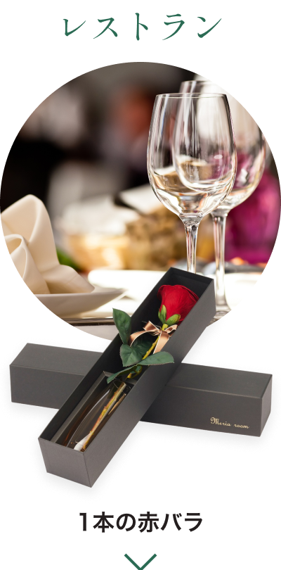 レストラン - 1本の赤バラ
