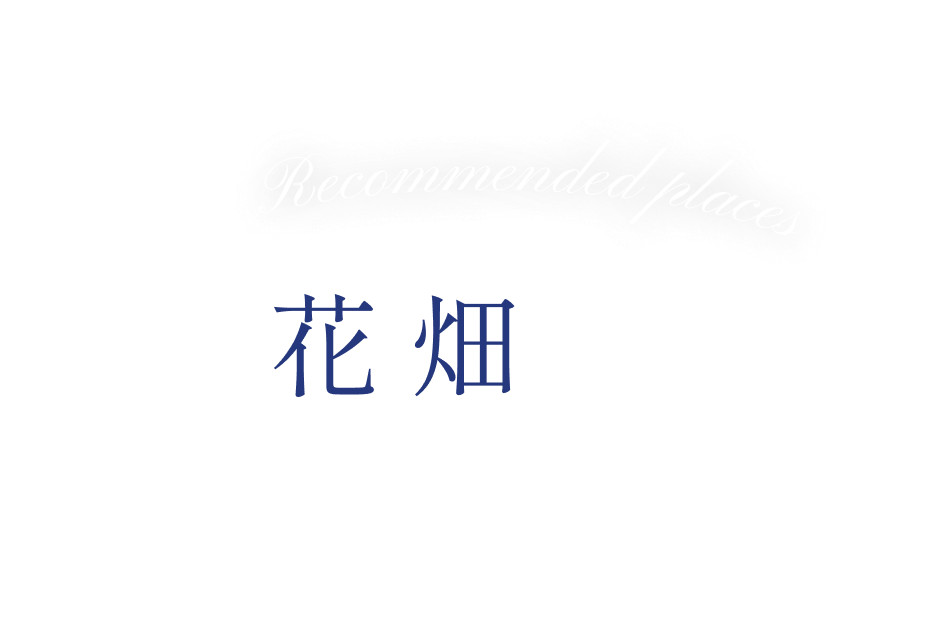Recommended places 花畑